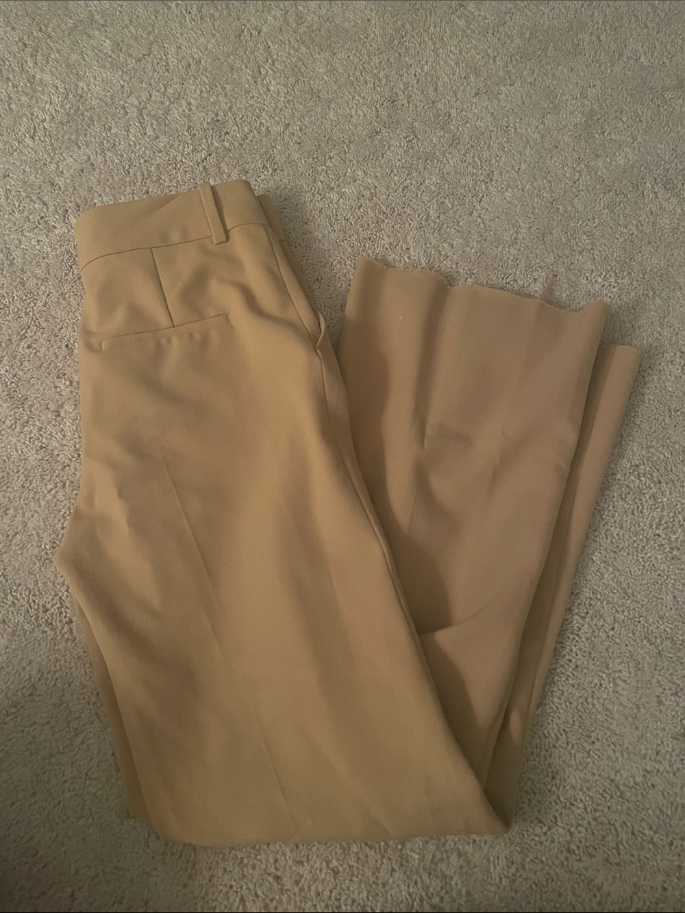 Zara Tan High-Waist Dress Pants